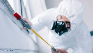 Pest Control for Hotels in Castle Hills, TX